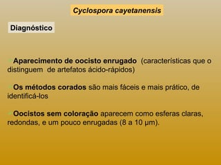 DDiiaaggnnóóssttiiccoo 
Cyclospora cayetanensis 
Aparecimento de oocisto enrugado (características que o 
distinguem de artefatos ácido-rápidos) 
Os métodos corados são mais fáceis e mais prático, de 
identificá-los 
Oocistos sem coloração aparecem como esferas claras, 
redondas, e um pouco enrugadas ((8 a 10 μm). 
 