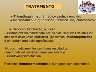 TRATAMENTO 
 Trimethoprim-sulfamethoxazole, ( empírico 
 Metronidazol e quinacrina, tetraciclina, clorofenicol 
 Repouso, hidratação, nutrição 
- sulfametoxazol-trimetoprim por 10 dias, seguidos de mais 20 
dias com dose única profilática (pacientes imunodeprimidos 
é um tratamento quimioprofilático). 
Outros medicamentos com bons resultados: 
- metronidazol, sulfiidiazina-pirimetamina e 
- sulfadoxinapirimetamina. 
Pacientes imunocompetentes a cura pode ser expontânea. 
 