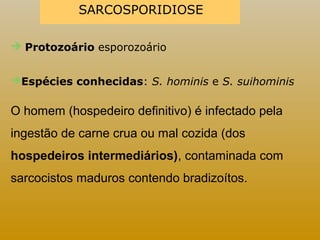 SARCOSPORIDIOSE 
 Protozoário esporozoário 
Espécies conhecidas: S. hominis e S. suihominis 
O homem (hospedeiro definitivo) é infectado pela 
ingestão de carne crua ou mal cozida (dos 
hospedeiros intermediários), contaminada com 
sarcocistos maduros contendo bradizoítos. 
 