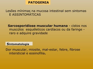 PATOGENIA 
Lesões mínimas na mucosa intestinal sem sintomas 
E ASSINTOMÁTICAS 
Sarcosporidiose muscular humana - cistos nos 
muscúlos esquéleticos cardíacos ou da faringe - 
raro e adquire gravidade 
Sintomatologia 
Dor muscular, miosite, mal-estar, febre, fibrose 
intersticial e eosinofilia. 
 