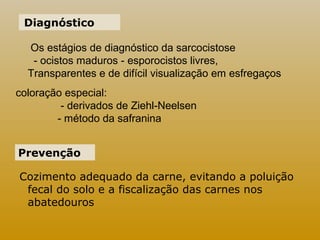 Diagnóstico 
Os estágios de diagnóstico da sarcocistose 
- ocistos maduros - esporocistos livres, 
Transparentes e de difícil visualização em esfregaços 
coloração especial: 
- derivados de Ziehl-Neelsen 
- método da safranina 
Prevenção 
Cozimento adequado da carne, evitando a poluição 
fecal do solo e a fiscalização das carnes nos 
abatedouros 
 