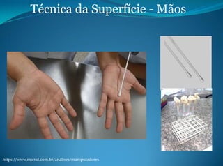 aula-de-coleta-de-amostras-de-gua-e-alimentos-pdf