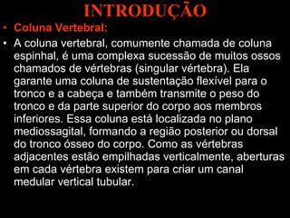 INTRODUÇÃO Coluna Vertebral: A coluna vertebral, comumente chamada de coluna espinhal, é uma complexa sucessão de muitos ossos chamados de vértebras (singular vértebra). Ela garante uma coluna de sustentação flexível para o tronco e a cabeça e também transmite o peso do tronco e da parte superior do corpo aos membros inferiores. Essa coluna está localizada no plano mediossagital, formando a região posterior ou dorsal do tronco ósseo do corpo. Como as vértebras adjacentes estão empilhadas verticalmente, aberturas em cada vértebra existem para criar um canal medular vertical tubular. 