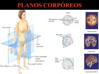 PLANOS CORPÓREOS 