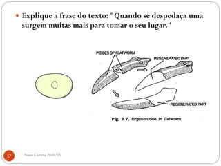  Explique a frase do texto: "Quando se despedaça uma
surgem muitas mais para tomar o seu lugar."
17 Nuno Correia 2010/11
 