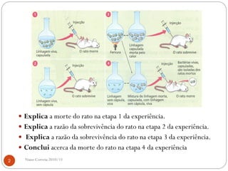  Explica a morte do rato na etapa 1 da experiência.
 Explica a razão da sobrevivência do rato na etapa 2 da experiência.
 Explica a razão da sobrevivência do rato na etapa 3 da experiência.
 Conclui acerca da morte do rato na etapa 4 da experiência
2 Nuno Correia 2010/11
 