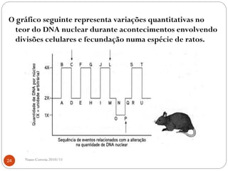 O gráfico seguinte representa variações quantitativas no
teor do DNA nuclear durante acontecimentos envolvendo
divisões celulares e fecundação numa espécie de ratos.
24 Nuno Correia 2010/11
 