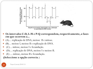  Os intervalos C-D, L-M e P-Q correspondem, respectivamente, a fases
em que ocorrem a...
 (A)... replicação de DNA, meiose II e mitose.
 (B)... meiose l, meiose II e replicação de DNA.
 (C)... mitose, meiose l e fecundação.
 (D)... replicação de DNA, meiose l e meiose II.
 (E) ... mitose, meiose II e fecundação.
(Seleccione a opção correcta.)
25 Nuno Correia 2010/11
 