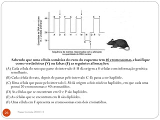 Sabendo que uma célula somática do rato do esquema tem 40 cromossomas, classifique
como verdadeiras (V) ou falsas (F) as seguintes afirmações:
(A) Cada célula do rato que passe do intervaloA-H dá origem a 8 células com informação genética
semelhante.
(B) Cada célula do rato, depois de passar pelo intervalo C-D, passa a ser haplóide.
(C) Uma célula que passe pelo intervalo L-M dá origem a dois núcleos haplóides, em que cada uma
possui 20 cromossomas e 40 cromatídios.
(D)As células que se encontram em O e P são haplóides.
(E)As células que se encontram em R são diplóides.
(F) Uma célula em F apresenta os cromossomas com dois cromatídios.
26 Nuno Correia 2010/11
 