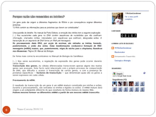 Nuno Correia 2010/118
 