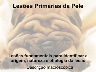Lesões Primárias da Pele Lesões fundamentais para identificar a origem, natureza e etiologia da lesão Descrição macroscópica 