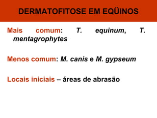 DERMATOFITOSE EM EQÜINOS Mais comum :  T. equinum ,  T. mentagrophytes Menos comum :  M. canis  e  M. gypseum Locais iniciais  – áreas de abrasão 