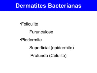 Dermatites Bacterianas Foliculite Furunculose Piodermite Superficial (epidermite) Profunda (Celulite) 