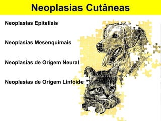 Neoplasias Cutâneas Neoplasias Epiteliais Neoplasias Mesenquimais Neoplasias de Origem Neural Neoplasias de Origem Linfóide 