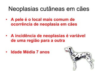 Neoplasias cutâneas em cães A pele é o local mais comum de ocorrência de neoplasia em cães A incidência de neoplasias é variável de uma região para a outra Idade Média 7 anos 