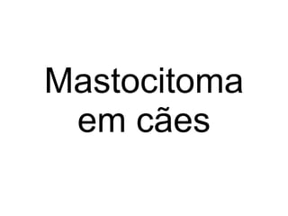 Mastocitoma em cães 