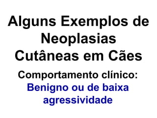 Alguns Exemplos de Neoplasias Cutâneas em Cães Comportamento clínico: Benigno ou de baixa agressividade 