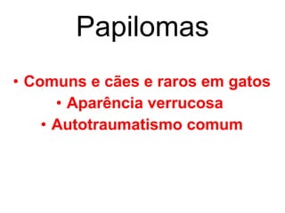 Papilomas Comuns e cães e raros em gatos Aparência verrucosa  Autotraumatismo comum 