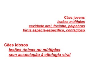 Cães jovens lesões múltiplas cavidade oral, focinho, pálpebras Vírus espécie-específico, contagioso Cães idosos lesões únicas ou múltiplas sem associação à etiologia viral 