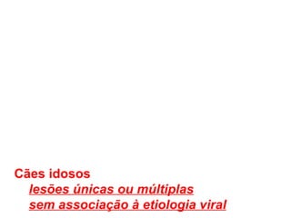 Cães idosos lesões únicas ou múltiplas sem associação à etiologia viral 