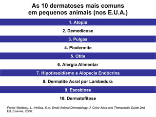 As 10 dermatoses mais comuns em pequenos animais (nos E.U.A.) Fonte: Medleau, L.; Hnilica, K.A.  Small Animal Dermatology: A Color Atlas and Therapeutic Guide  2nd Ed, Elsevier, 2006. 1. Atopia 2. Demodicose 3. Pulgas 4. Piodermite 5. Otite 6. Alergia Alimentar 7. Hipotireoidismo e Alopecia Endócrina 8. Dermatite Acral por Lambedura 9. Escabiose 10. Dermatofitose 