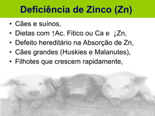 Cães e suínos, Dietas com  ↑Ac. Fitico ou Ca e  ↓Zn, Defeito hereditário na Absorção de Zn, Cães grandes (Huskies e Malanutes), Filhotes que crescem rapidamente, Deficiência de Zinco (Zn)  