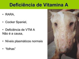 RARA, Cocker Spaniel, Deficiência de VTM A Não é a causa, Níveis plasmáticos normais “ folhas” Deficiência de Vitamina A  