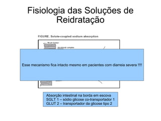 Fisiologia das Soluções de Reidratação Absorção intestinal na borda em escova  SGLT 1 – sódio glicose co-transportador 1 GLUT 2 – transportador da glicose tipo 2 Esse mecanismo fica intacto mesmo em pacientes com diarreia severa !!!! 
