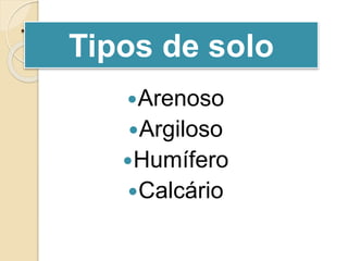 TIPOS DE SOLOS
Arenoso
Argiloso
Humífero
Calcário
Tipos de solo
 