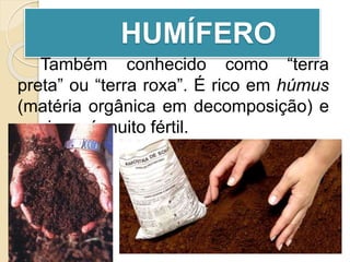 HUMÍFERO
Também conhecido como “terra
preta” ou “terra roxa”. É rico em húmus
(matéria orgânica em decomposição) e
por isso, é muito fértil.
 