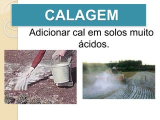 CALAGEM
Adicionar cal em solos muito
ácidos.
 