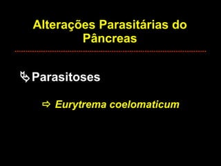 Alterações Parasitárias do Pâncreas  Parasitoses    Eurytrema coelomaticum 