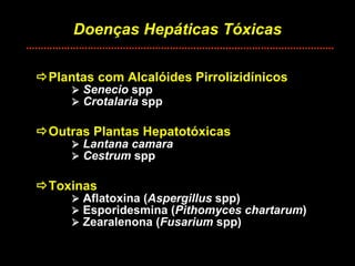 Doenças Hepáticas Tóxicas  Plantas com Alcalóides Pirrolizidínicos    Senecio  spp    Crotalaria  spp  Outras Plantas Hepatotóxicas    Lantana camara    Cestrum  spp  Toxinas    Aflatoxina ( Aspergillus  spp)    Esporidesmina ( Pithomyces chartarum )    Zearalenona ( Fusarium  spp) 