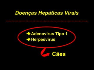 Doenças Hepáticas Virais  Adenovírus Tipo 1  Herpesvírus Cães 