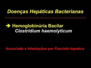 Doenças Hepáticas Bacterianas    Hemoglobinúria Bacilar Clostridium haemolyticum Associada a infestações por  Fasciola hepatica 