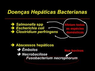 Doenças Hepáticas Bacterianas    Salmonella  spp    Escherichia coli   Clostridium perfringens    Abscessos hepáticos    Êmbolos    Necrobacilose Fusobacterium necrophorum Nos bovinos Afetam todas  as espécies domésticas 