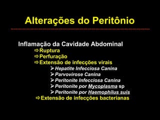 Alterações do Peritônio Inflamação da Cavidade Abdominal  Ruptura  Perfuração  Extensão de infecções virais  Hepatite Infecciosa Canina  Parvovirose Canina  Peritonite Infecciosa Canina  Peritonite por  Mycoplasma   sp  Peritonite por  Haemophilus suis    Extensão de infecções bacterianas 