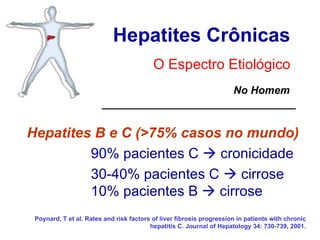 Hepatites Crônicas O Espectro Etiológico Hepatites B e C (>75% casos no mundo) 90% pacientes C    cronicidade 30-40% pacientes C    cirrose 10% pacientes B    cirrose Poynard, T et al. Rates and risk factors of liver fibrosis progression in patients with chronic hepatitis C. Journal of Hepatology 34: 730-739, 2001. No Homem 