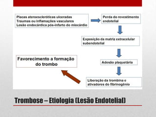 Trombose – Etiologia (Lesão Endotelial)
 