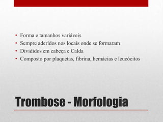 Trombose - Morfologia
• Forma e tamanhos variáveis
• Sempre aderidos nos locais onde se formaram
• Divididos em cabeça e Calda
• Composto por plaquetas, fibrina, hemácias e leucócitos
 