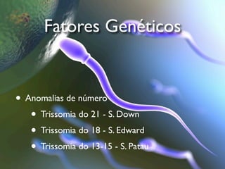Fatores Genéticos


• Anomalias de número
   • Trissomia do 21 - S. Down
   • Trissomia do 18 - S. Edward
   • Trissomia do 13-15 - S. Patau
 