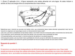 1. (Enem 2ª aplicação 2010) A figura representa uma cadeia alimentar em uma lagoa. As setas indicam o
sentido do fluxo de energia entre os componentes dos níveis tróficos.
Sabendo-se que o mercúrio se acumula nos tecidos vivos, que componente dessa cadeia alimentar apresentará maior teor de
mercúrio no organismo se nessa lagoa ocorrer um derramamento desse metal?
a) As aves, pois são os predadores do topo dessa cadeia e acumulam mercúrio incorporado pelos componentes dos demais elos.
b) Os caramujos, pois se alimentam das raízes das plantas, que acumulam maior quantidade de metal.
c) Os grandes peixes, pois acumulam o mercúrio presente nas plantas e nos peixes pequenos.
d) Os pequenos peixes, pois acumulam maior quantidade de mercúrio, já que se alimentam das plantas contaminadas.
e) As plantas aquáticas, pois absorvem grande quantidade de mercúrio da água através de suas raízes e folhas.
Resposta da questão 1:
[A]
O mercúrio é um poluente não biodegradável e de difícil eliminação pelos organismos vivos. Esse metal
pesado acumula-se ao longo das cadeias alimentares, ficando mais concentrado nos níveis mais distantes dos
produtores, isto é, acumulado nos tecidos dos consumidores que se alimentam de organismos contaminados.
 