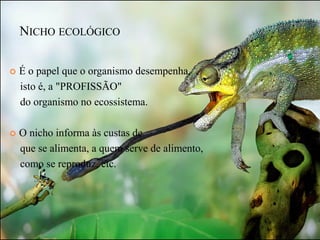 NICHO ECOLÓGICO

   É o papel que o organismo desempenha,
    isto é, a "PROFISSÃO"
    do organismo no ecossistema.

   O nicho informa às custas de
    que se alimenta, a quem serve de alimento,
    como se reproduz, etc.
 