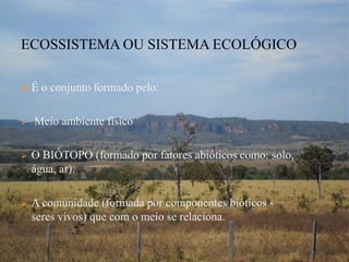ECOSSISTEMA OU SISTEMA ECOLÓGICO

   É o conjunto formado pelo:

   Meio ambiente físico

   O BIÓTOPO (formado por fatores abióticos como: solo,
    água, ar).

   A comunidade (formada por componentes bióticos -
    seres vivos) que com o meio se relaciona.
 