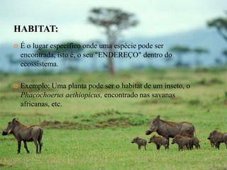 HABITAT:
   É o lugar específico onde uma espécie pode ser
    encontrada, isto é, o seu "ENDEREÇO" dentro do
    ecossistema.

   Exemplo: Uma planta pode ser o habitat de um inseto, o
    Phacochoerus aethiopicus, encontrado nas savanas
    africanas, etc.
 