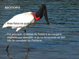 BIÓTOPO



   Área física na qual uma determinada comunidade
    vive.

   Por exemplo, o habitat do Tuiuiú é as margens
    alagadas,por exemplo, a do rio Amazonas ou dos
    rios do complexo do Pantanal.
 