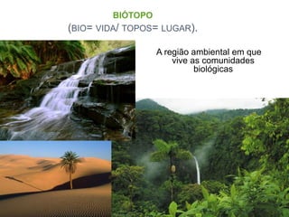 BIÓTOPO
(BIO= VIDA/ TOPOS= LUGAR).
A região ambiental em que
vive as comunidades
biológicas
 