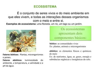 ECOSSISTEMA
É o conjunto de seres vivos e do meio ambiente em
que eles vivem, e todas as interações desses organismos
com o meio e entre si.
Exemplos de ecossistema: uma floresta, um rio, um lago ou um jardim.
Fatores bióticos: Plantas, microrganismos
e peixes.
Fatores abióticos: luminosidade do
ambiente, a temperatura, a salinidade e o
pH da água.
abiótico: os elementos físicos e químicos
do meio
Ex: de nutrientes, água, ar, gases, energia e
substâncias orgânicas e inorgânicas do solo.
Os ecossistemas
apresentam dois
componentes básicos:
biótico: as comunidades vivas
Ex: plantas, animais e microrganismos
 
