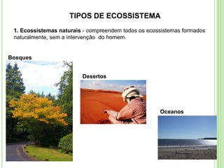 TIPOS DE ECOSSISTEMA
1. Ecossistemas naturais - compreendem todos os ecossistemas formados
naturalmente, sem a intervenção do homem.
Bosques
Desertos
Oceanos
 