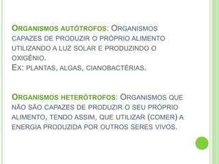 ORGANISMOS AUTÓTROFOS: ORGANISMOS
CAPAZES DE PRODUZIR O PRÓPRIO ALIMENTO
UTILIZANDO A LUZ SOLAR E PRODUZINDO O
OXIGÊNIO.
EX: PLANTAS, ALGAS, CIANOBACTÉRIAS.
ORGANISMOS HETERÓTROFOS: ORGANISMOS QUE
NÃO SÃO CAPAZES DE PRODUZIR O SEU PRÓPRIO
ALIMENTO, TENDO ASSIM, QUE UTILIZAR (COMER) A
ENERGIA PRODUZIDA POR OUTROS SERES VIVOS.
 